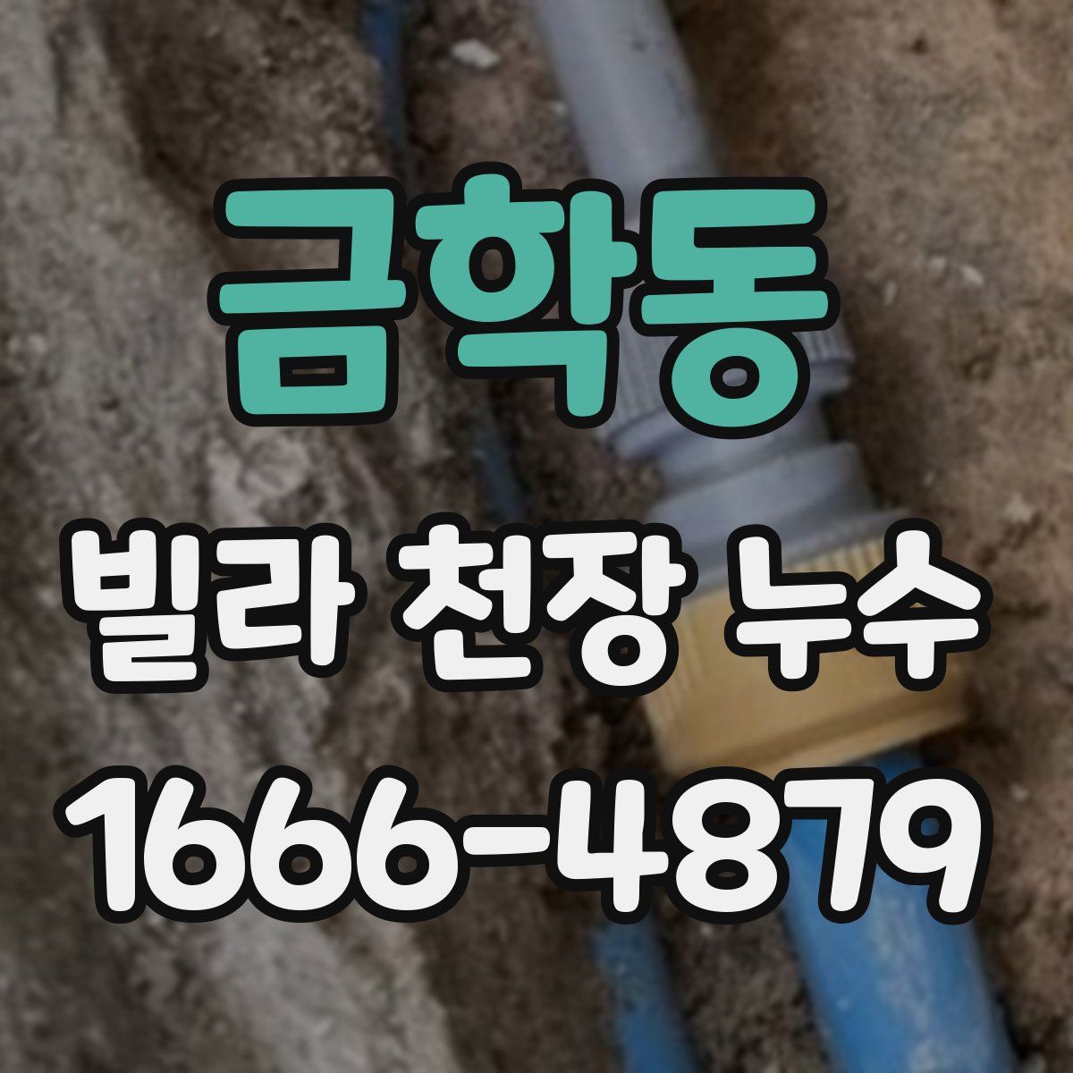 금학동 빌라 천장 누수