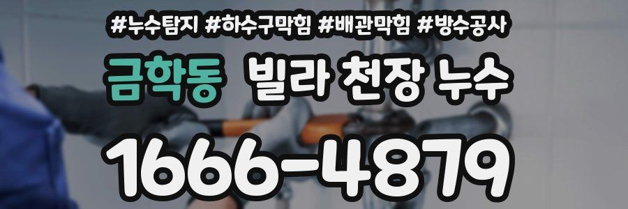금학동 빌라 천장 누수