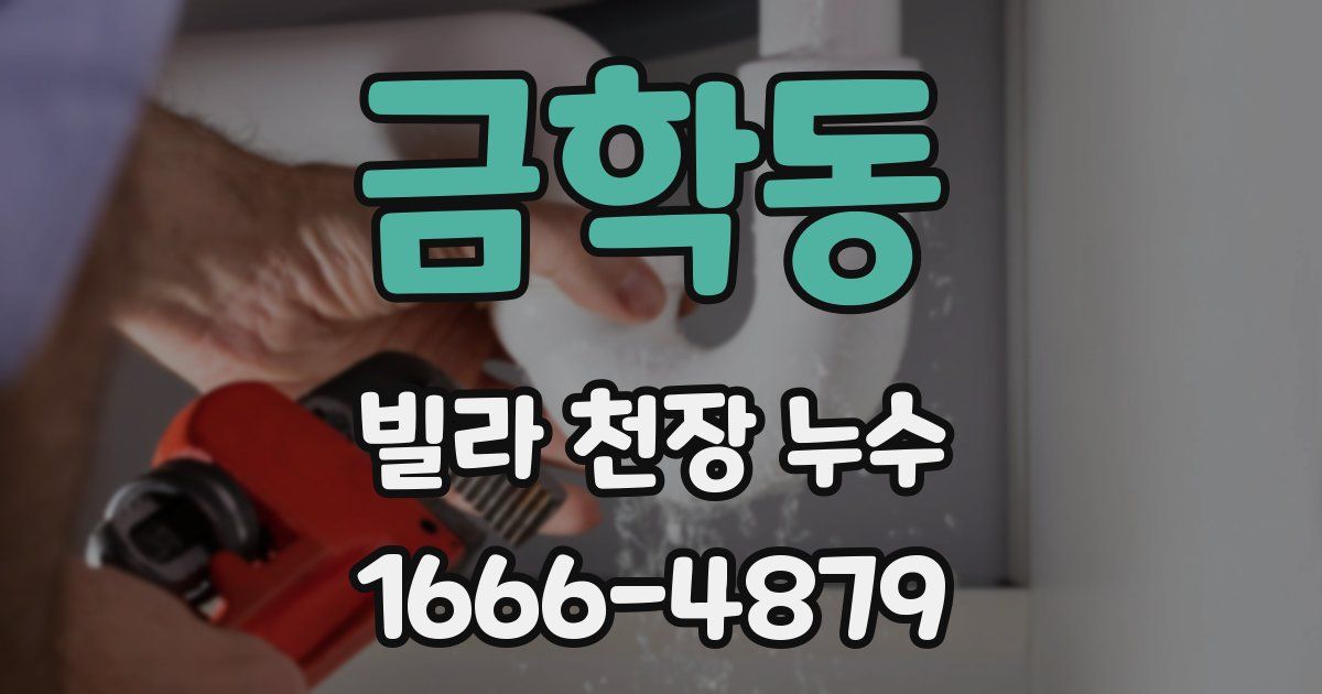 금학동 빌라 천장 누수