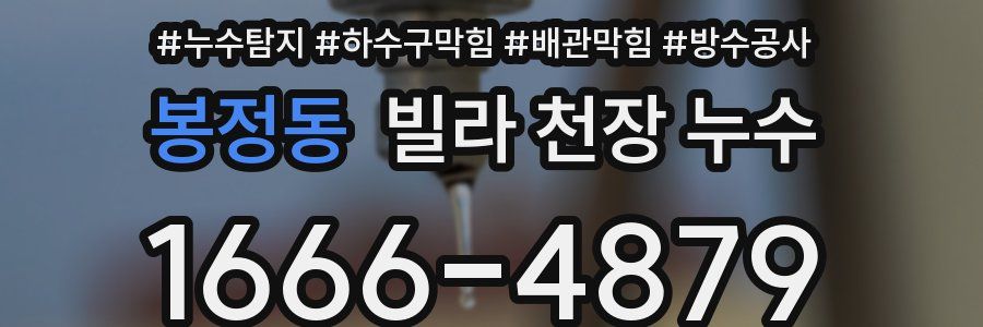 봉정동 빌라 천장 누수
