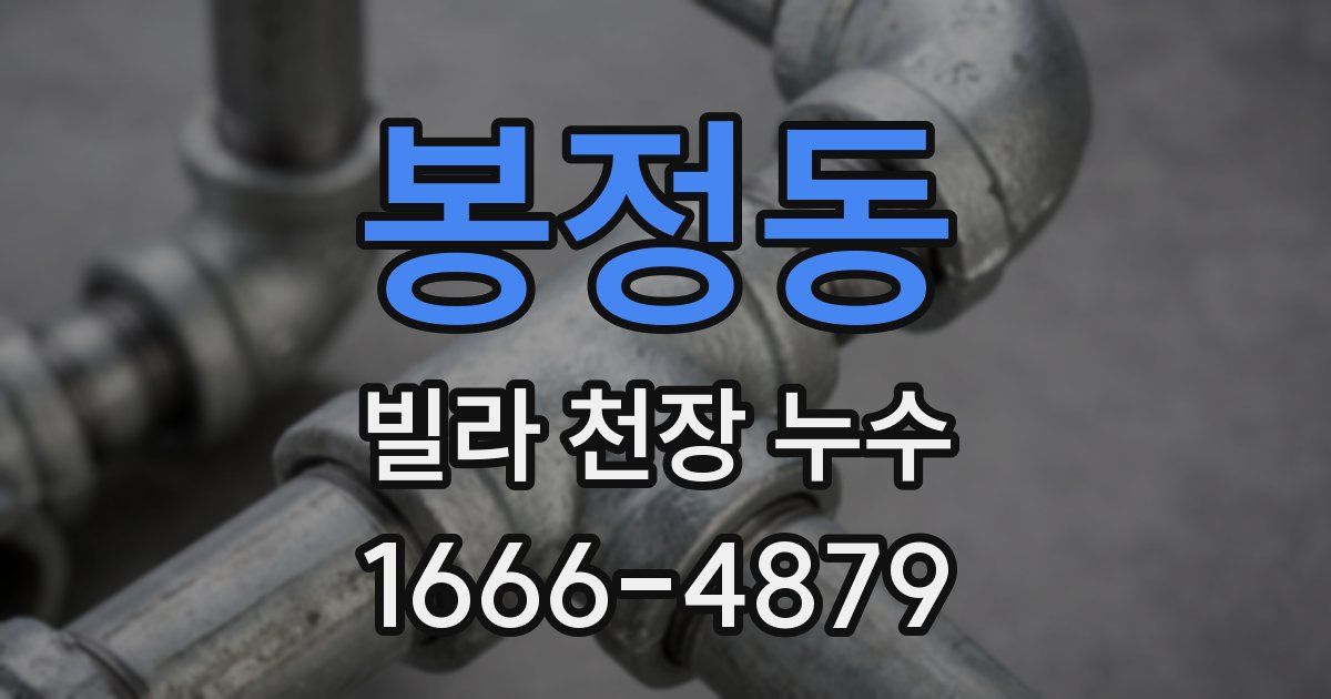 봉정동 빌라 천장 누수