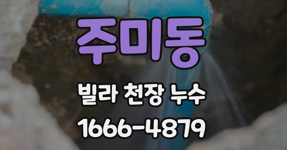 주미동 빌라 천장 누수
