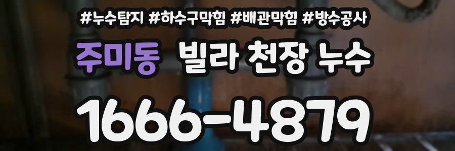 주미동 빌라 천장 누수