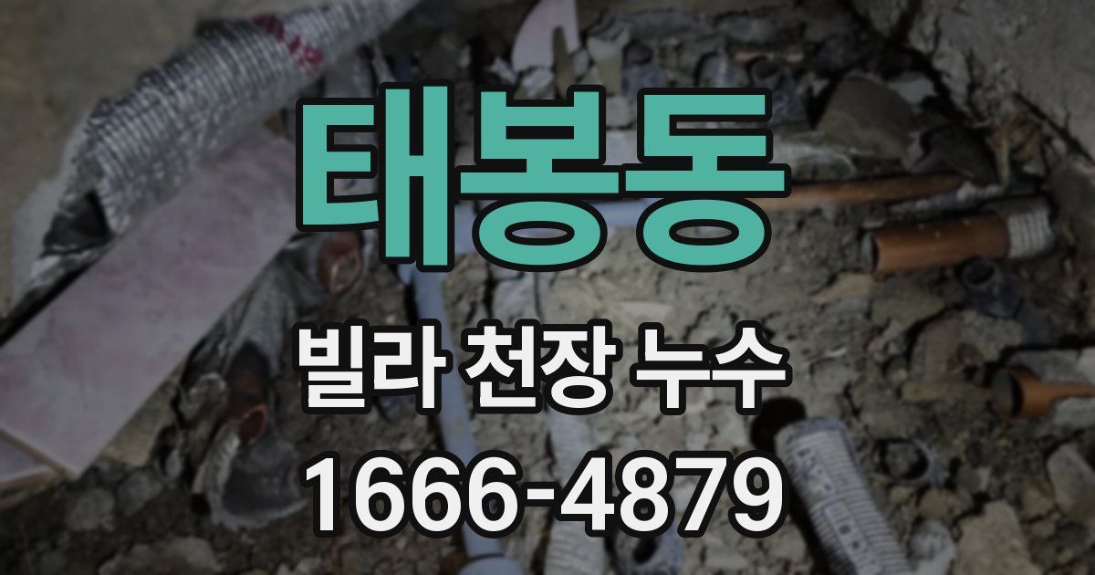 태봉동 빌라 천장 누수