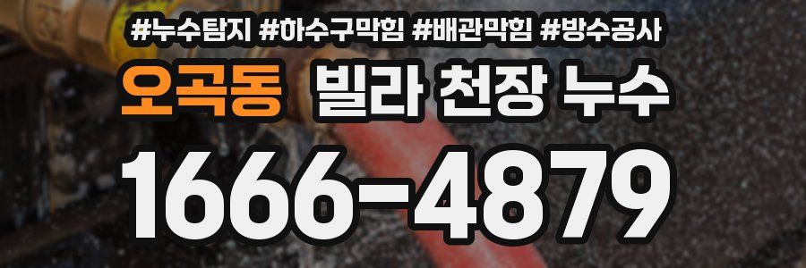 오곡동 빌라 천장 누수