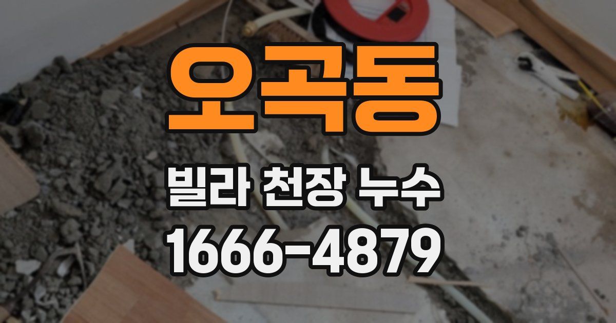 오곡동 빌라 천장 누수