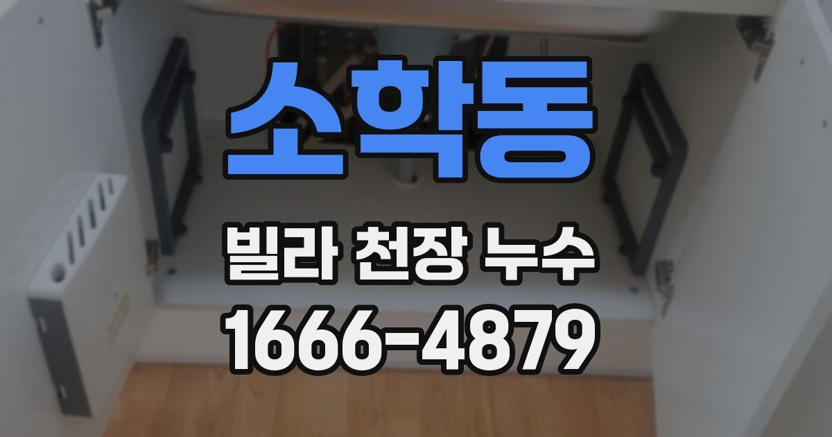 소학동 빌라 천장 누수