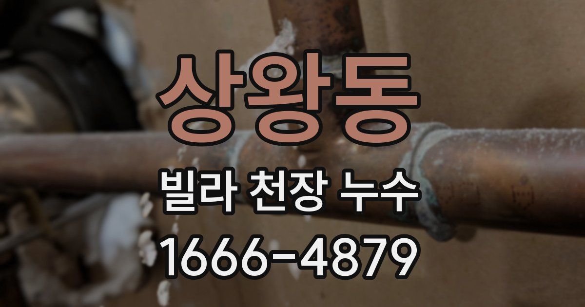 상왕동 빌라 천장 누수