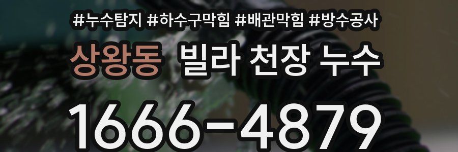 상왕동 빌라 천장 누수