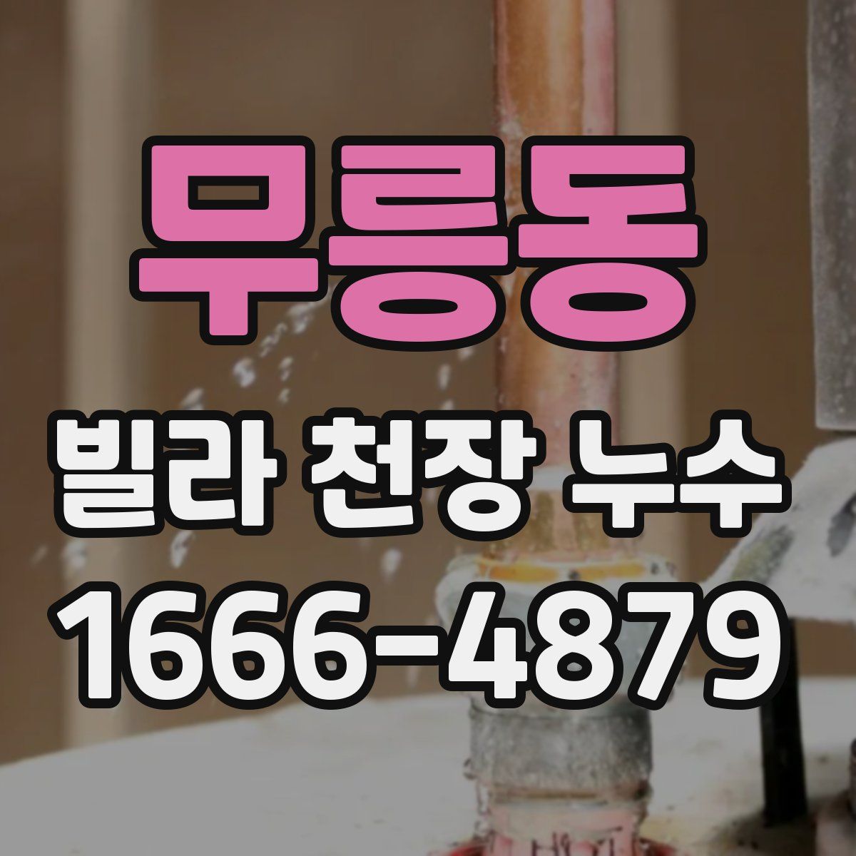 무릉동 빌라 천장 누수