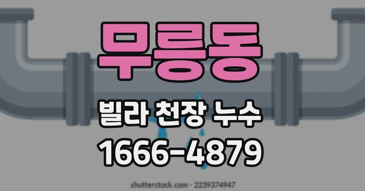 무릉동 빌라 천장 누수