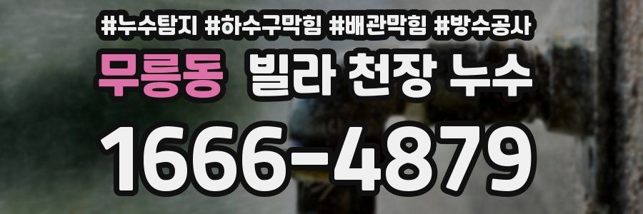무릉동 빌라 천장 누수
