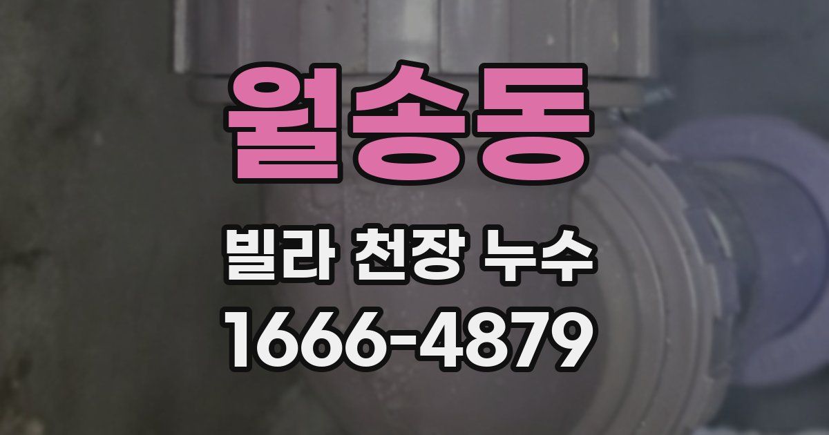 월송동 빌라 천장 누수