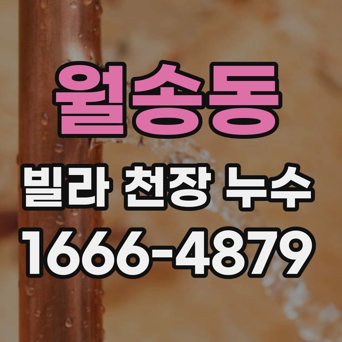 월송동 빌라 천장 누수