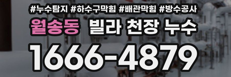 월송동 빌라 천장 누수