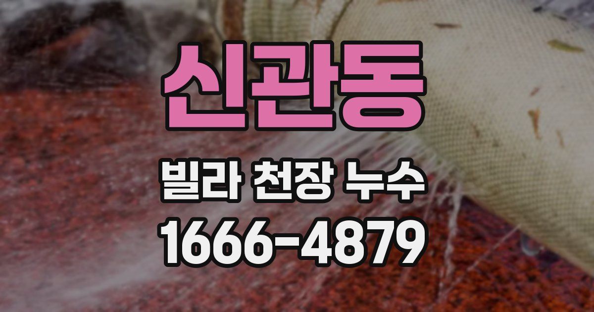 신관동 빌라 천장 누수