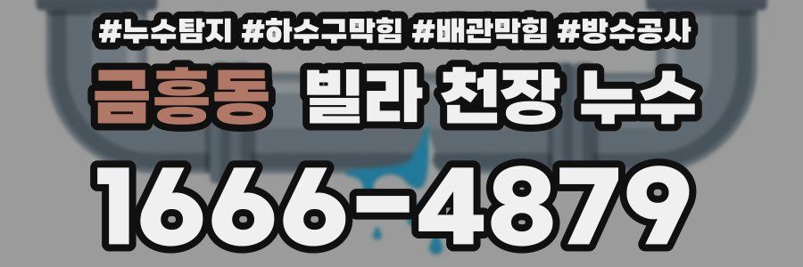 금흥동 빌라 천장 누수