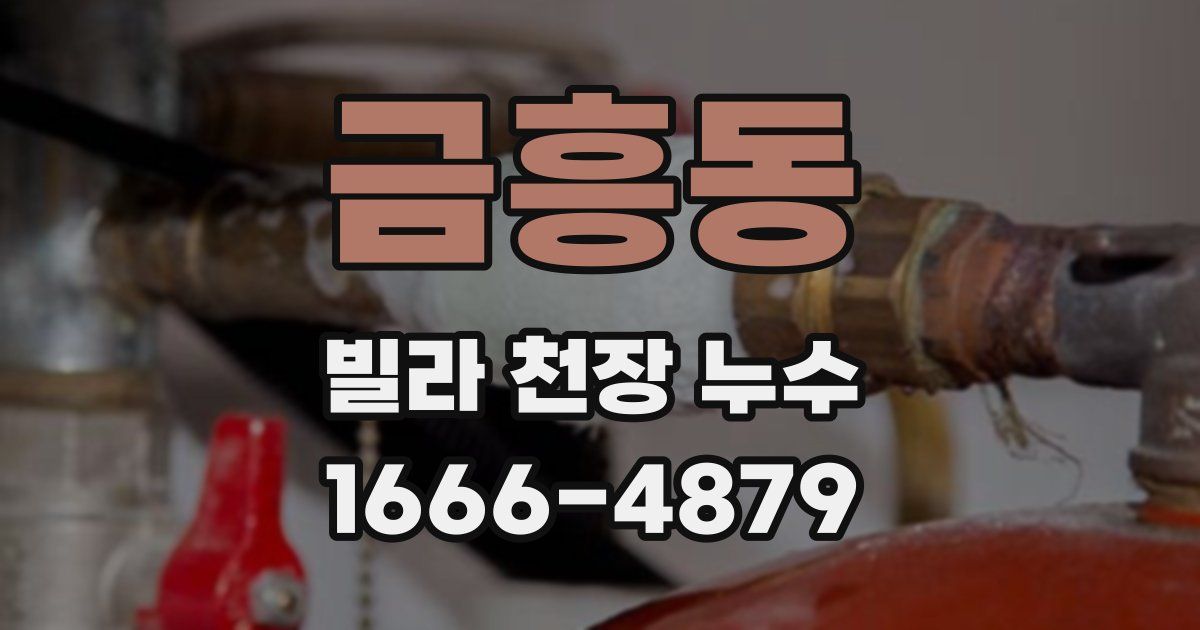 금흥동 빌라 천장 누수