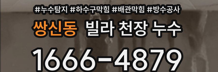쌍신동 빌라 천장 누수