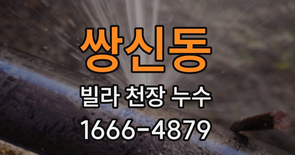 쌍신동 빌라 천장 누수