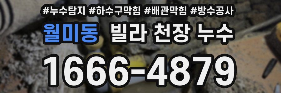 월미동 빌라 천장 누수