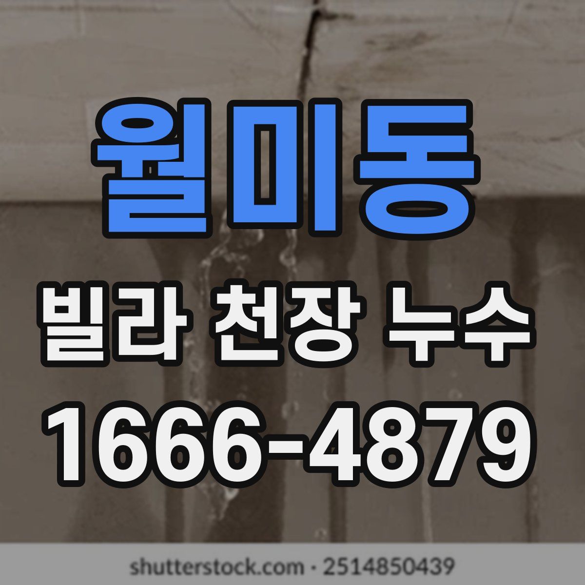 월미동 빌라 천장 누수