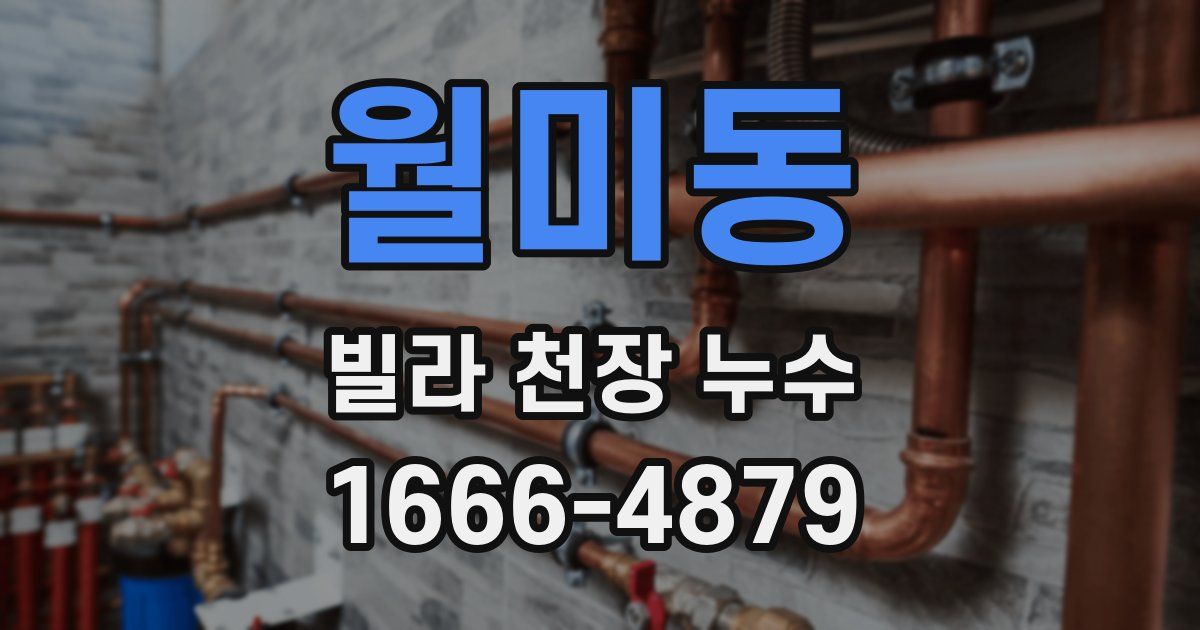 월미동 빌라 천장 누수