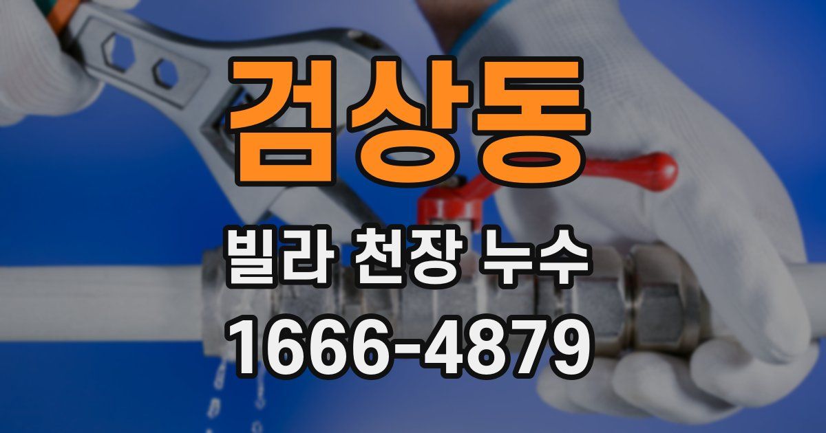 검상동 빌라 천장 누수