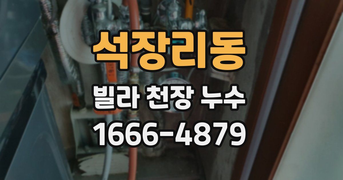 석장리동 빌라 천장 누수
