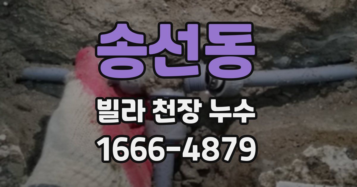 송선동 빌라 천장 누수