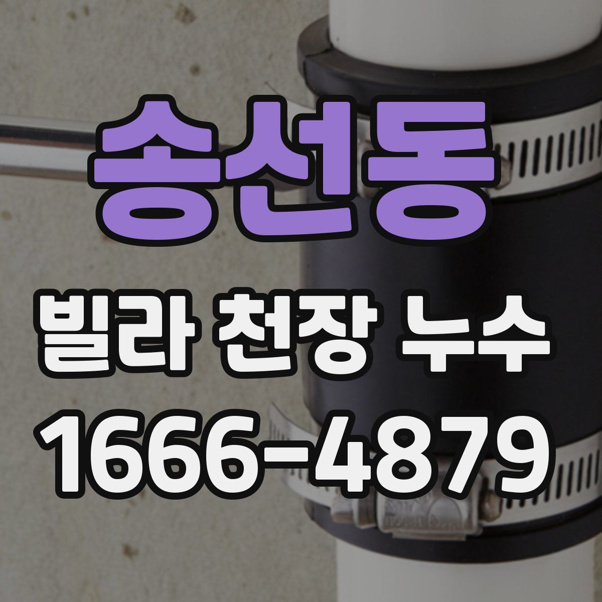 송선동 빌라 천장 누수