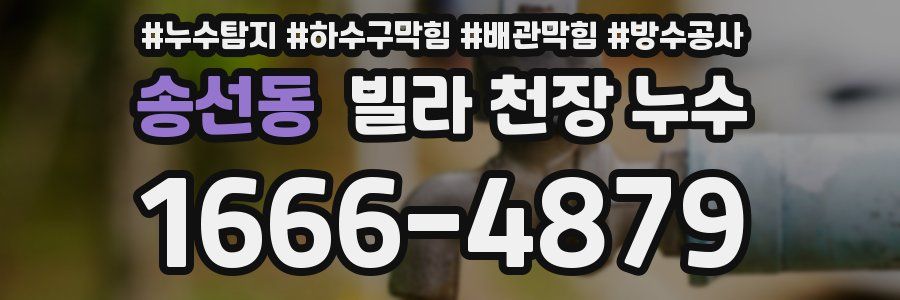 송선동 빌라 천장 누수