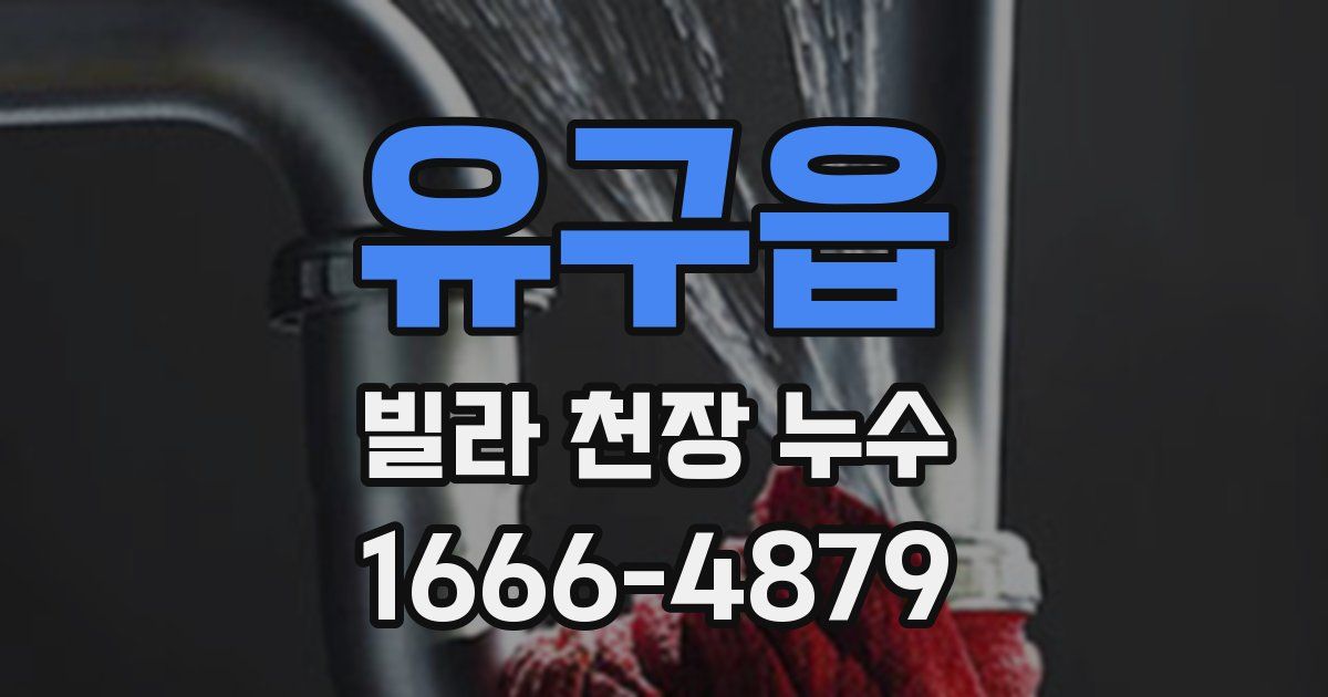 유구읍 빌라 천장 누수