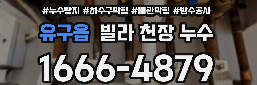 유구읍 빌라 천장 누수