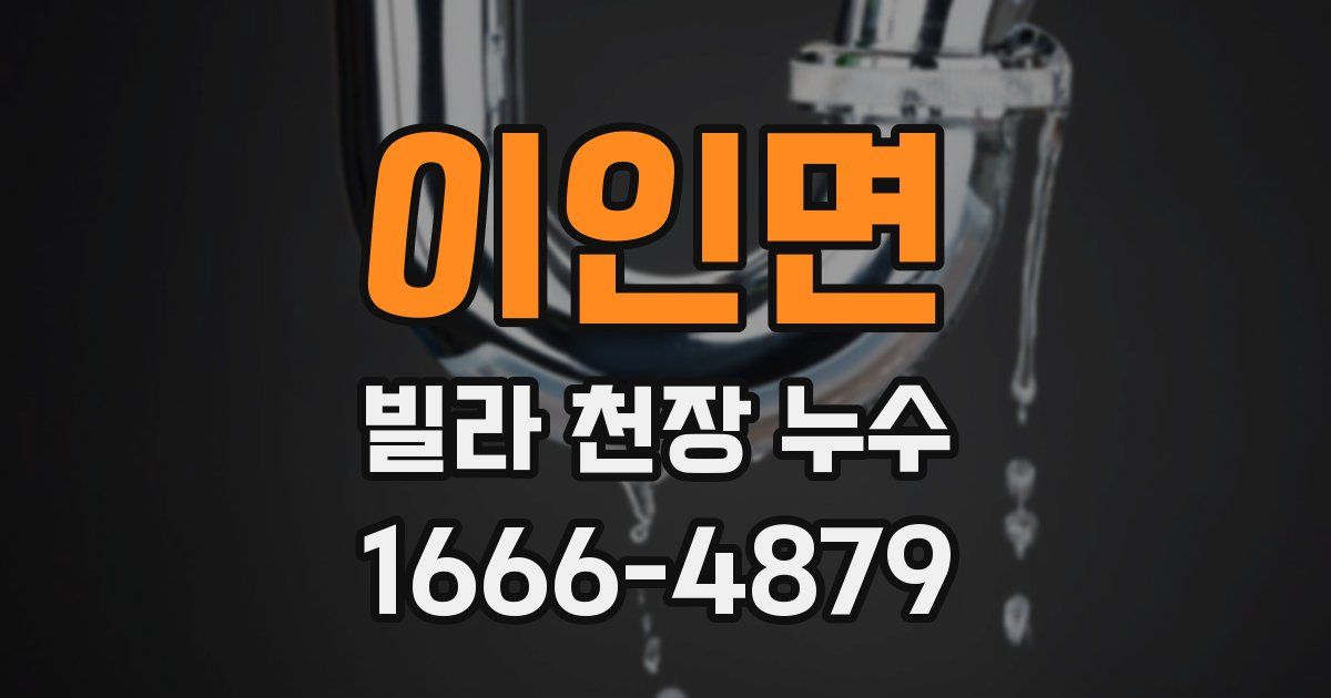 이인면 빌라 천장 누수