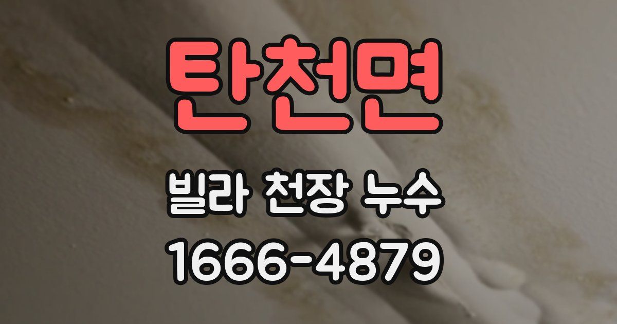 탄천면 빌라 천장 누수