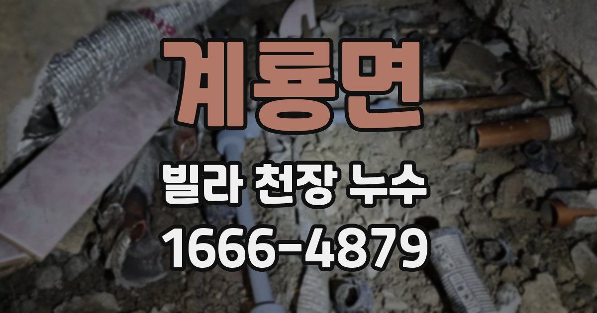 계룡면 빌라 천장 누수