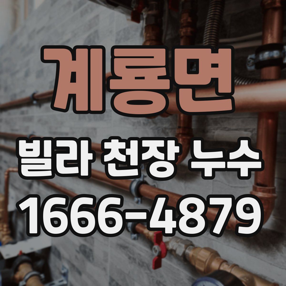 계룡면 빌라 천장 누수