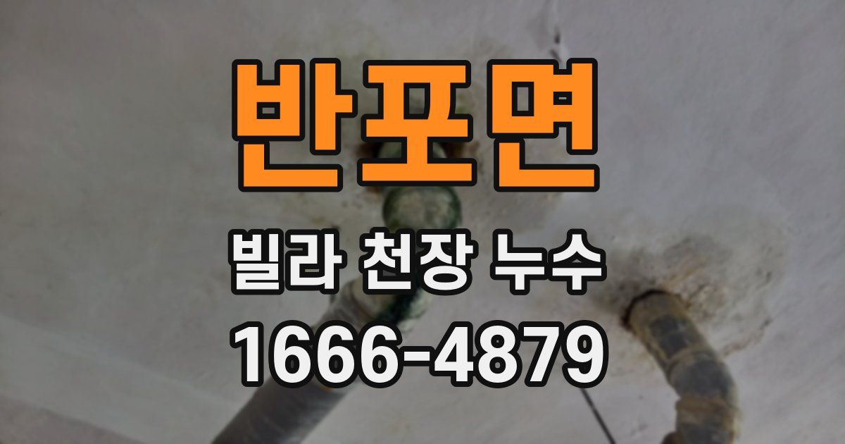 반포면 빌라 천장 누수