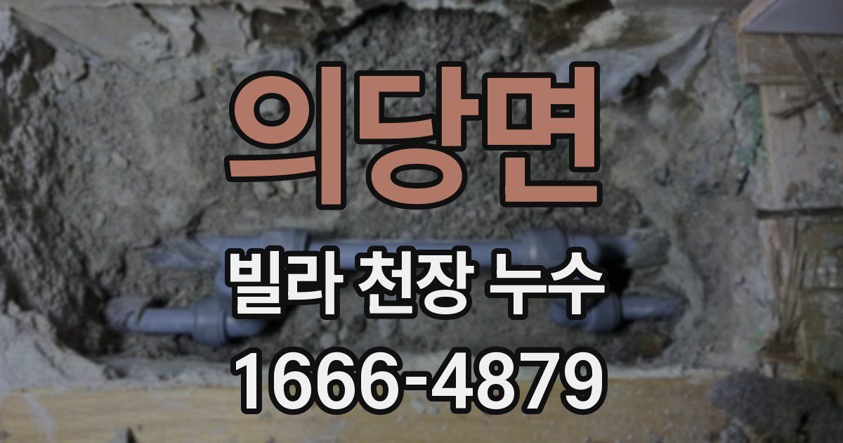 의당면 빌라 천장 누수