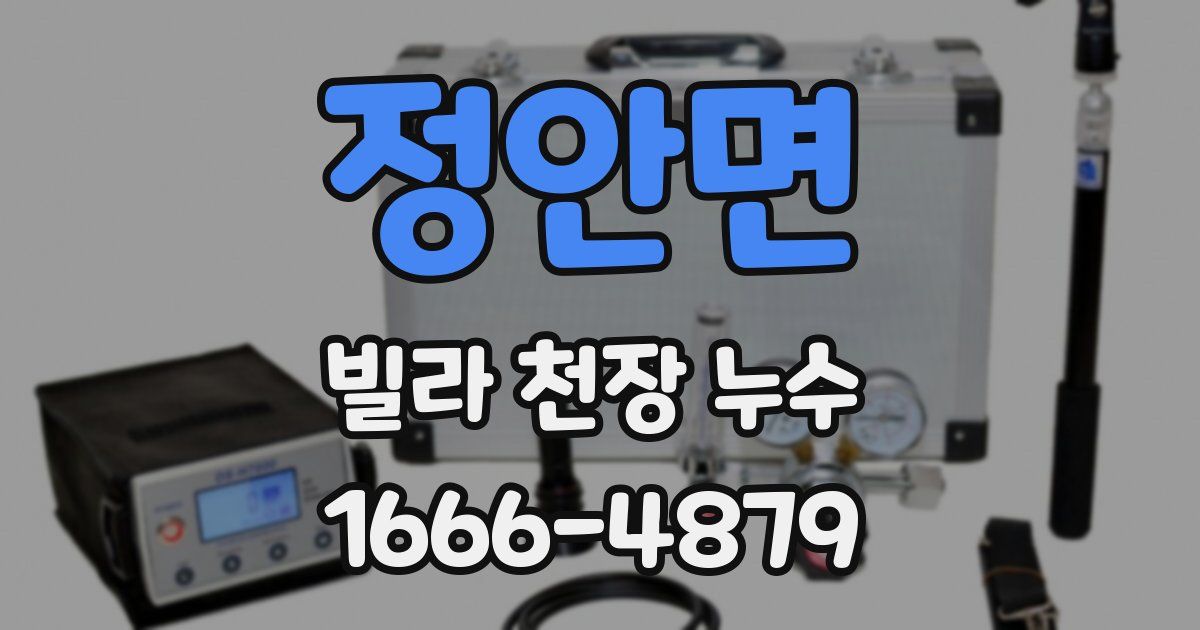 정안면 빌라 천장 누수