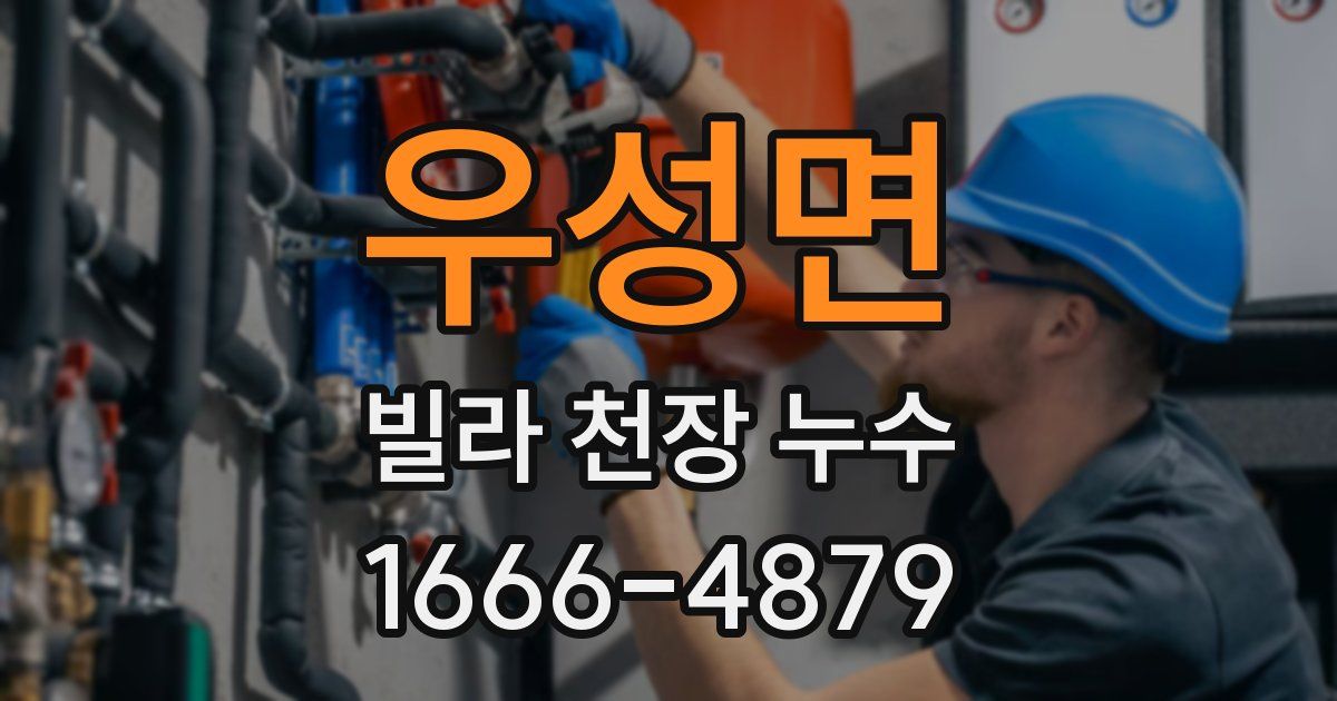 우성면 빌라 천장 누수