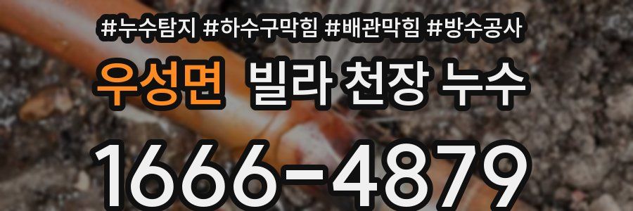 우성면 빌라 천장 누수