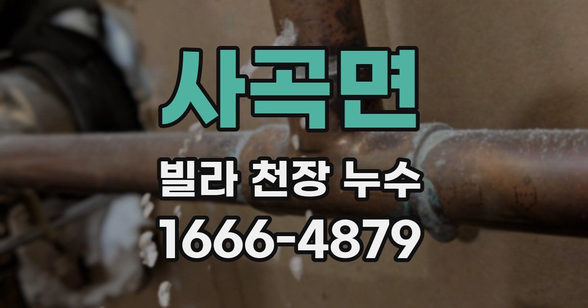 사곡면 빌라 천장 누수