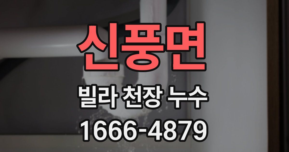신풍면 빌라 천장 누수