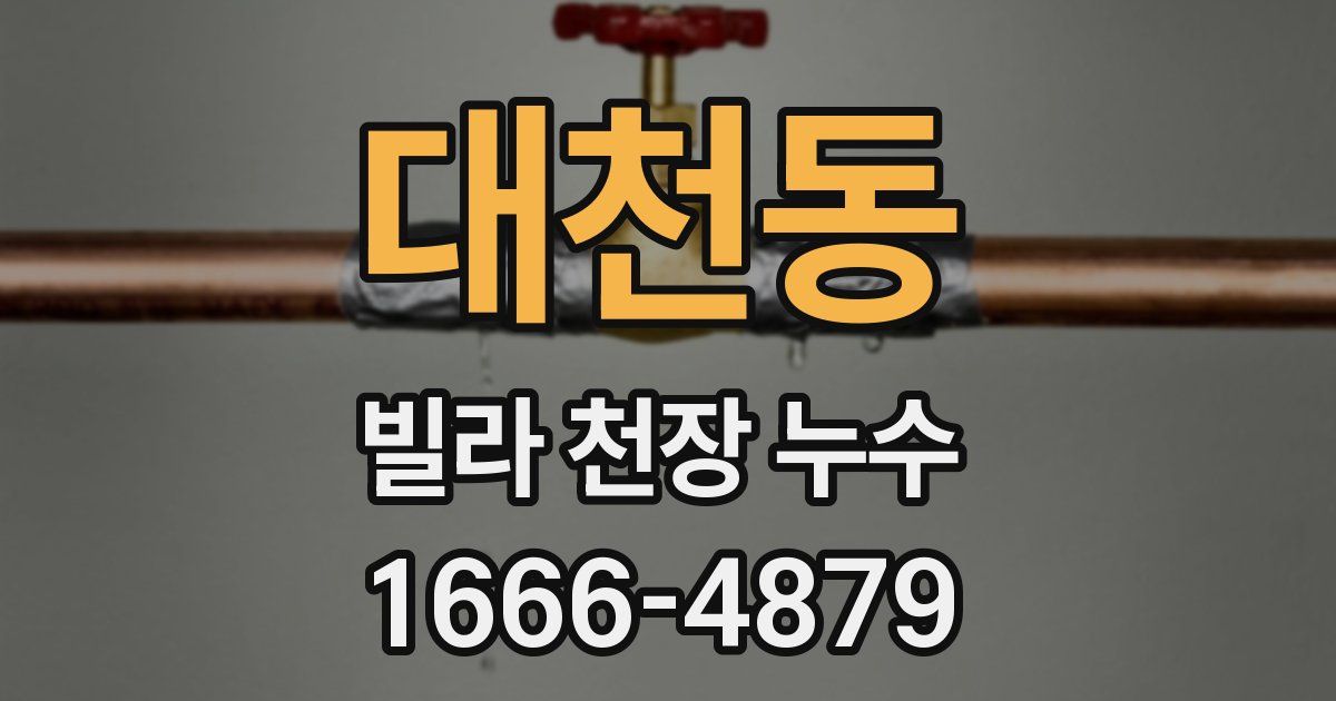 대천동 빌라 천장 누수