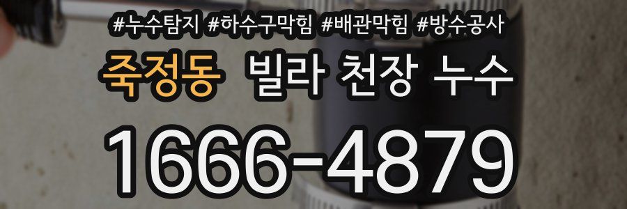 죽정동 빌라 천장 누수