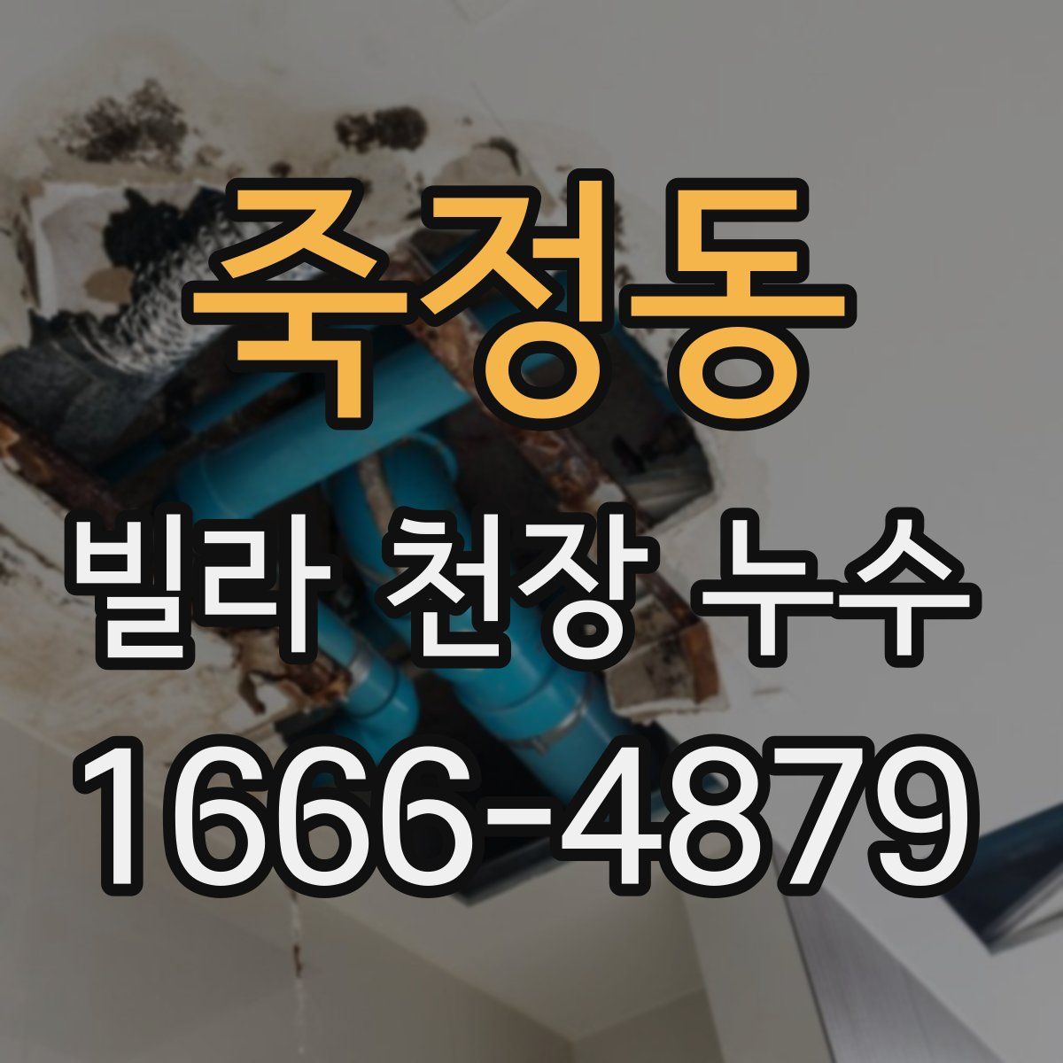 죽정동 빌라 천장 누수