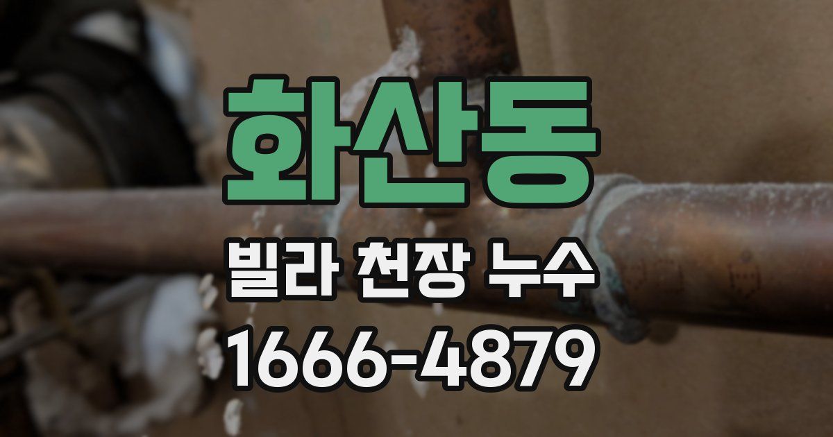화산동 빌라 천장 누수