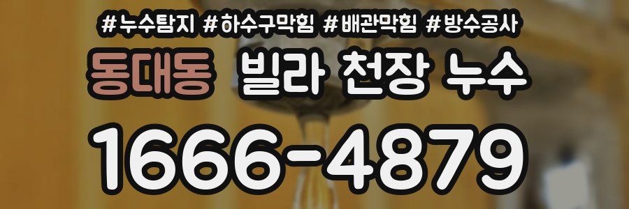 동대동 빌라 천장 누수